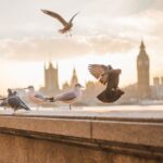 London Scavenger Hunt and Highlights Self-Guided Tour - FAQ