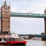 London: Taxi 50+ Sights Private Tour & Thames River Cruise - Who Is This Tour Best For?