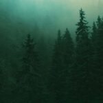 London: Ticket to Into the Woods - The Venue: The Bridge Theatre