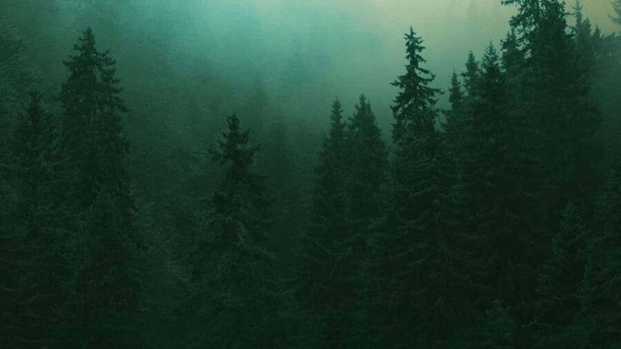 London: Ticket to Into the Woods - The Venue: The Bridge Theatre