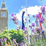 London tour with a qualified tour guide - Deep Dive into the Itinerary