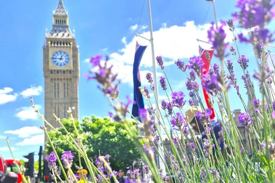 London tour with a qualified tour guide - Deep Dive into the Itinerary