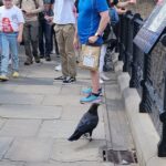 London: Tower of London Guided Tour with Boat Ride - The Pros and Cons Based on Real Experiences