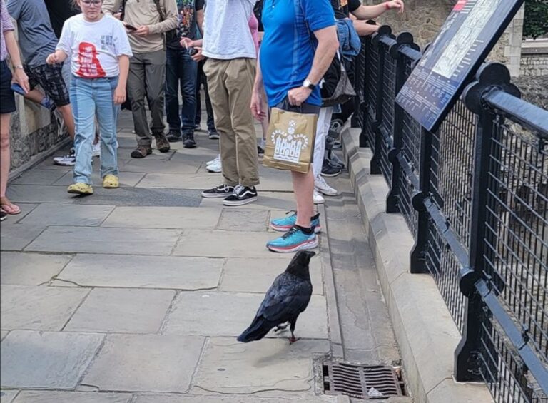 London: Tower of London Guided Tour with Boat Ride - The Pros and Cons Based on Real Experiences