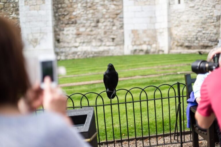 London: Tower of London Tour with Crown Jewels & Beefeaters - Guided Tour of the Highlights