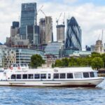 London: Westminster to Tower Bridge River Thames Cruise - Final Thoughts