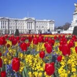 London: Westminster Tour and Windsor Castle Entry Ticket - What It’s Like to Experience This Tour