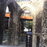 Londons Millennia of Medical Progress Private Historical Tour - Practical Details and Whats Included