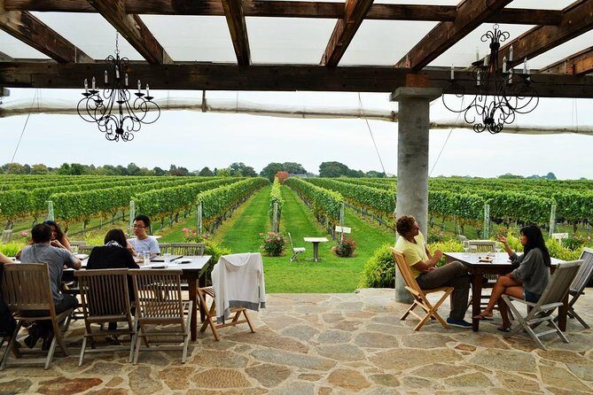 Long Island Winery Tour - The Experience for Different Types of Travelers
