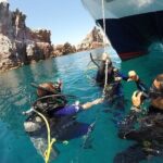 Los Cabos 1 tank dive to Lands End (Certified Divers) - Real Traveler Insights