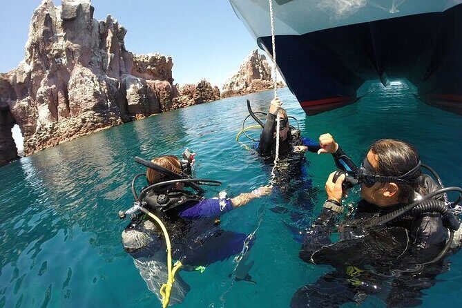 Los Cabos 1 tank dive to Lands End (Certified Divers) - Real Traveler Insights