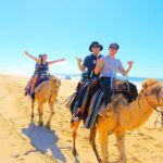 Los Cabos 3 in 1 Adventure: Camel Ride, Lunch and Arch Boat Tour - What’s Included and What’s Not