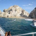 Los Cabos Beginner Scuba Dive Experience - The Dive Itinerary in Detail