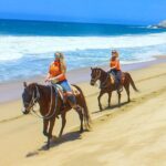 Los Cabos - COMBO Horseback Riding & ATV Tour - Analyzing the Price and Overall Value