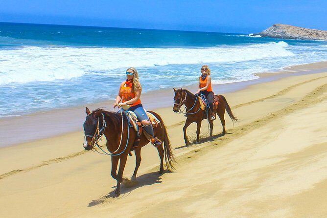 Los Cabos - COMBO Horseback Riding & ATV Tour - Analyzing the Price and Overall Value