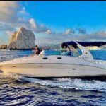 Los Cabos Private Yacht Whale Watching Tour, Snorkel and Drinks - What’s Included and What’s Not?