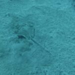 Los Cristianos: Basic Diver Course - Who Is This Tour Perfect For?