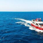 Los Cristianos: Eco Yacht Whale Watching Tour at Sunset - A Closer Look at the Experience