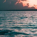 Los Cristianos : Sunset Kayak Safari with Cave & Wildlife - The Value of This Experience