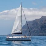 Los Gigantes: Sailing Excursion with Swimming, Drink & Tapas - The Experience in Detail