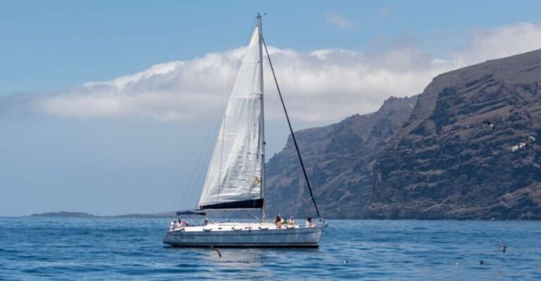 Los Gigantes: Sailing Excursion with Swimming, Drink & Tapas - The Experience in Detail