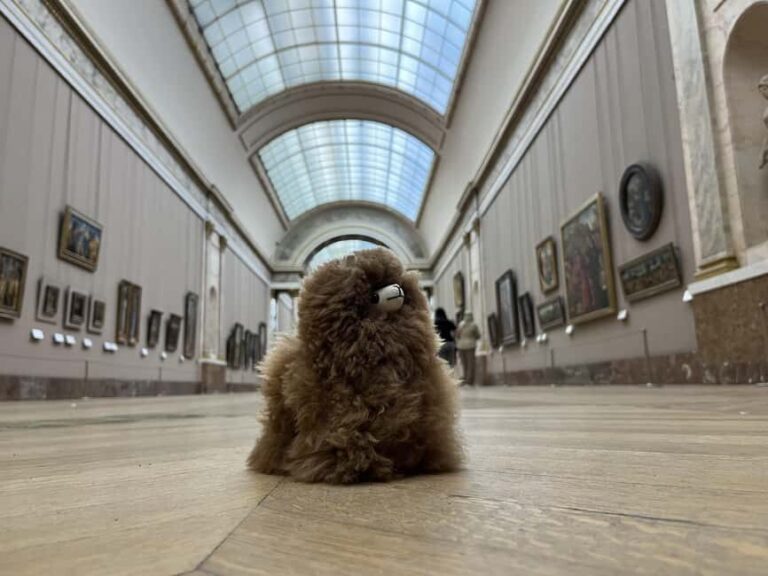 Louvre Museum Entry Ticket and Private Guided Tour - What to Expect on the Tour