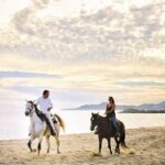 Love is in the air! Private horseback ride on the beach and sunset dinner! - The Value and Why It Works