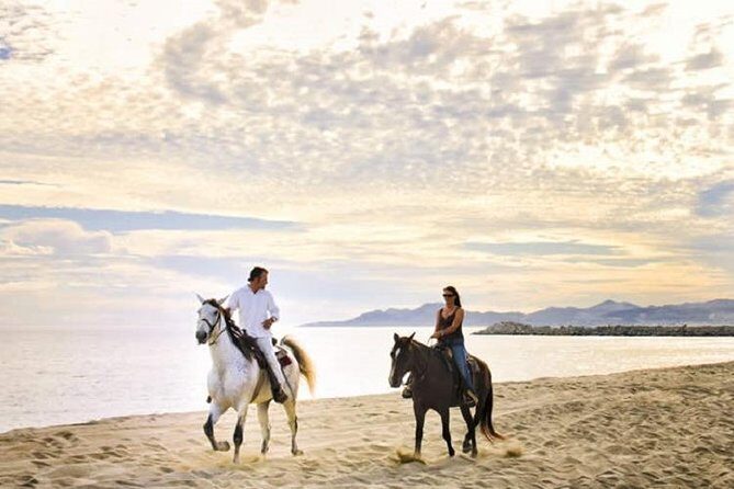 Love is in the air! Private horseback ride on the beach and sunset dinner! - The Value and Why It Works