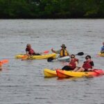 Lovers Key Guided Eco Tour-Mangrove Estuary - Who is This Tour Best For?
