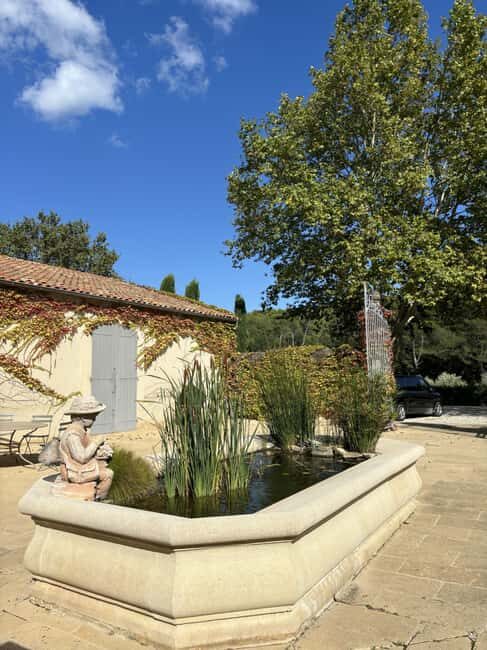 Luberon: Full-Day Wine Tour from Marseille - What Travelers Say About This Tour