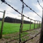 Lublin and Majdanek Small Group Tour from Warsaw with Lunch - The Experience in Detail