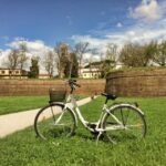Lucca: City Bike One-Day Rental - The Route and Key Sights
