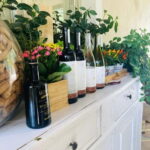 Lucca - Natural wine tasting at Tenuta Mareli - The value of this tour