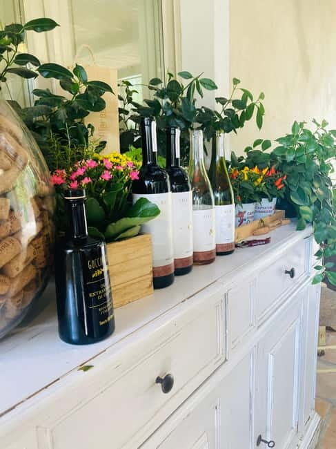 Lucca - Natural wine tasting at Tenuta Mareli - The value of this tour