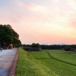Lucca: Picnic Lunch at a Vineyard by Bike - Practical Details