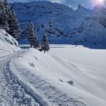 Lucerne: Private Snowshoe Tour - Value for Money