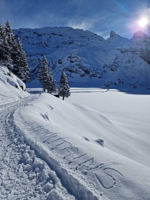 Lucerne: Private Snowshoe Tour - Value for Money