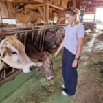 Lucerne: Small Group Countryside Tour with Cheese Tasting - The Practical Details