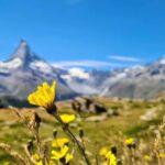 Lucerne to Zermatt: Private Day Trip or Transfer - The Real Deal: Pros and Cons