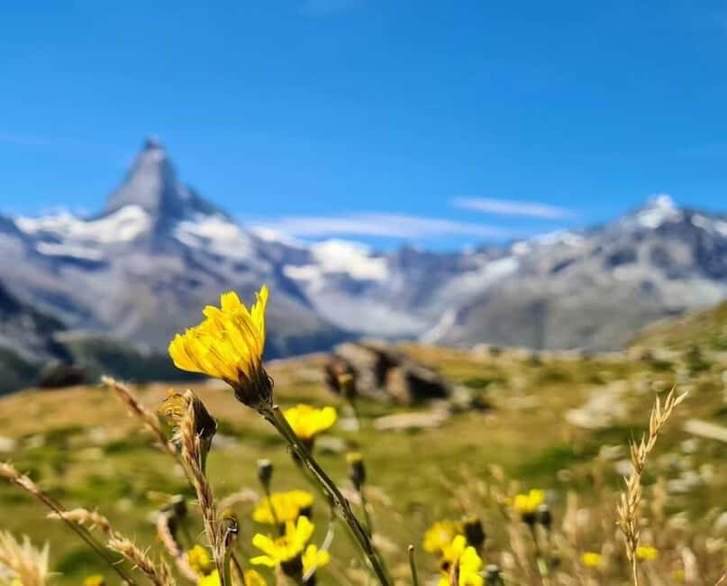 Lucerne to Zermatt: Private Day Trip or Transfer - The Real Deal: Pros and Cons