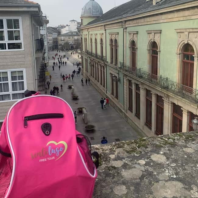 LUGO: GUIDED VISIT TO LUGO, INCLUDING ENTRANCE TO THE CATHEDRAL AND THE DOMUS - Pricing and Value