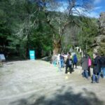 Lugo: Professional Archery Lesson for All Ages - How the Experience Is Structured