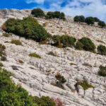 Lula: Montalbo hiking - The Itinerary in Detail