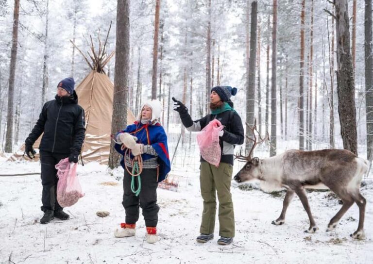Luleå: Encounter with Reindeer Experience - The Cultural and Learning Aspect