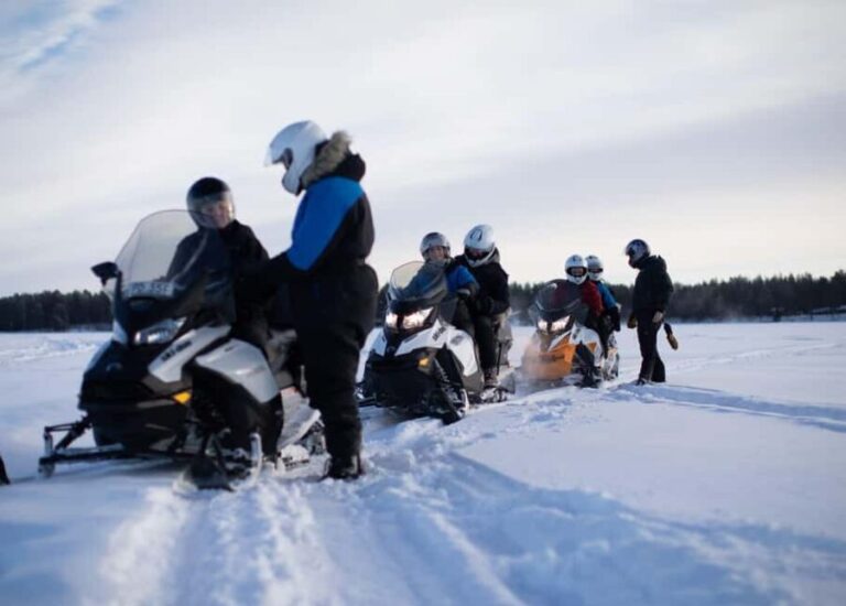Luleå: Forest & Ice Snowmobile Tours (2 or 4 Hours) - Key Points
