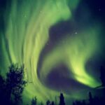 Luleå: Reindeer Sled Ride and Northern Lights Tour - Who Is This Tour Best For?