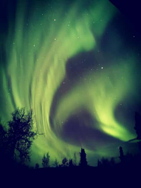 Luleå: Reindeer Sled Ride and Northern Lights Tour - Who Is This Tour Best For?