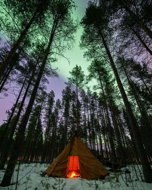 Luleå: Sami Culture, Reindeer, and Northern Lights Tour - Value and Practical Tips