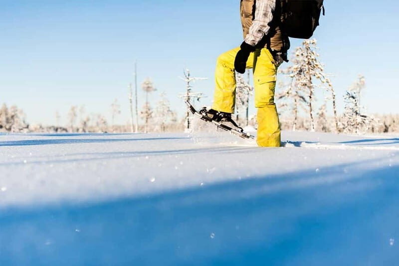 Luleå: snowshoeing in pristine nature with an expert guide! - The Scenic Route and Elevation