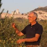 Lunch and tasting 5 wines + walk in the panoramic vineyards - Practical Details